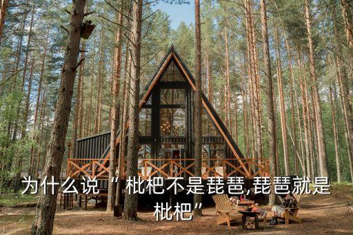 枇杷圖片,琵琶書枇杷白居易的另一首詩(shī)