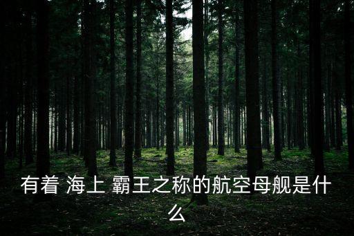 有著 海上 霸王之稱的航空母艦是什么