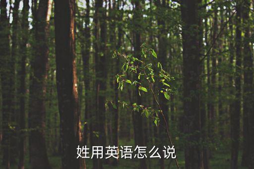 姓用英語(yǔ)怎么說(shuō)
