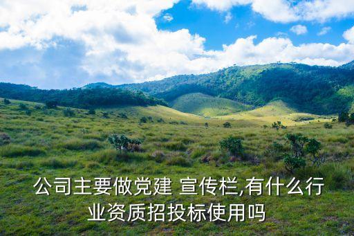 公司宣傳欄,北京神州盛通廣告?zhèn)髅接邢薰拘麄鳈诂F(xiàn)場實況