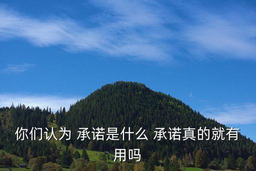 你說的承諾,承諾對于那些人來說什么都不是，都是虛無縹緲的