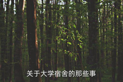 關于大學宿舍的那些事