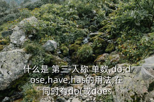 do的第三人稱單數(shù),does用在主語是第三人稱單數(shù)時候