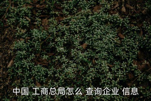 中國 工商總局怎么 查詢企業 信息