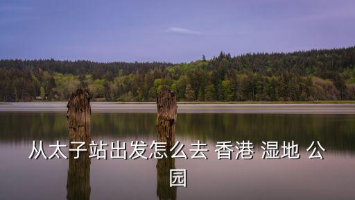 從太子站出發怎么去 香港 濕地 公園