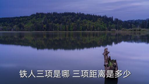鐵人三項是哪三項,世界鐵人三項錦標賽距離為游泳1.5km