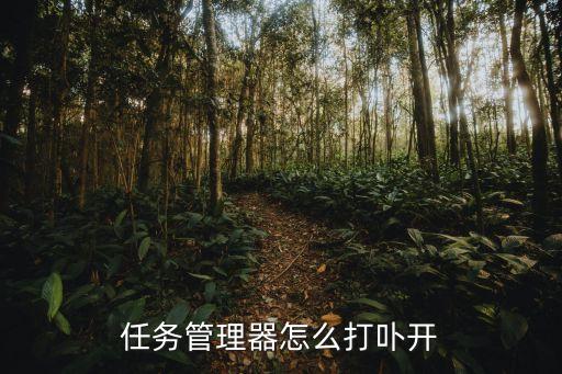 打開任務管理器，任務管理器怎么打卟開