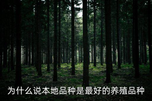 為什么說本地品種是最好的養(yǎng)殖品種