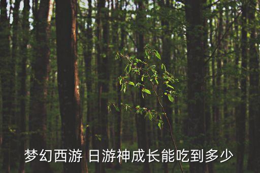 日游神,游戲以《西游記》故事為背景塑造浪漫主題
