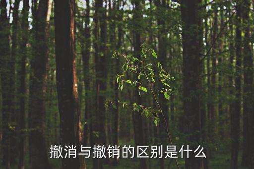  撤消與撤銷的區別是什么