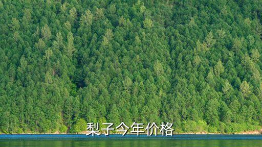 梨子今年價格