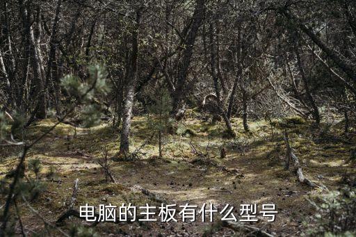 電腦的主板有什么型號(hào)