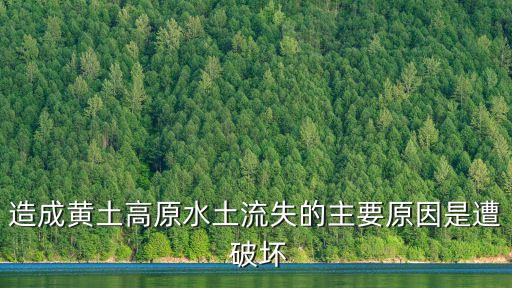 黃土高原水土流失的原因，造成黃土高原水土流失的主要原因是遭 破壞