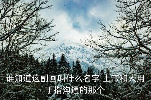 誰知道這副畫叫什么名字 上帝和人用手指溝通的那個(gè)