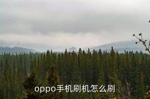 oppo怎么刷機，oppo手機刷機怎么刷