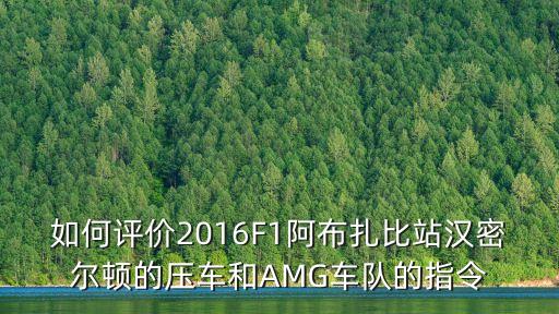 如何評價2016F1阿布扎比站漢密爾頓的壓車和AMG車隊的指令