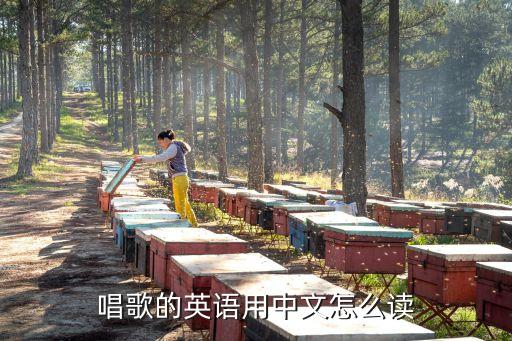 唱歌的英語用中文怎么讀