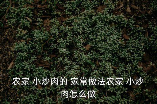 農家 小炒肉的 家常做法農家 小炒肉怎么做