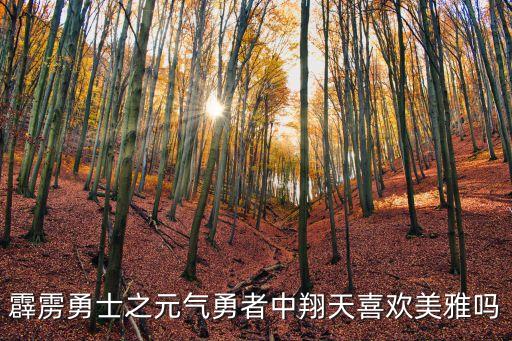 奇跡笨小孩結局，奇跡笨小孩結局是什么