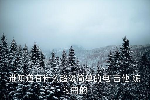 誰知道有什么超級簡單的電 吉他 練習曲的