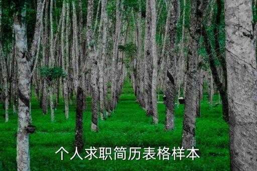 應聘簡歷表，請問求職簡歷表是什么樣的誰有發給我 謝謝