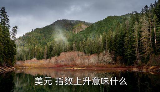 美元指數,美元指數升值反映美國出口競爭力和進口成本變化