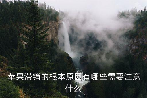 蘋(píng)果銷售,蘋(píng)果有質(zhì)量問(wèn)題阻礙出口關(guān)注種植情況