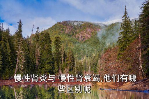  慢性腎炎與 慢性腎衰竭,他們有哪些區別呢