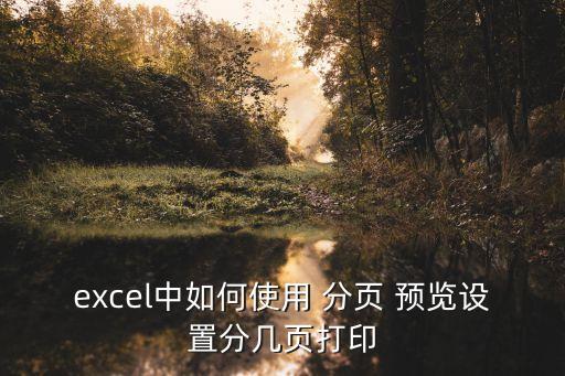 excel中如何使用 分頁 預覽設置分幾頁打印