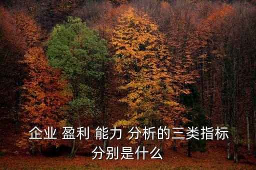 企業盈利能力分析