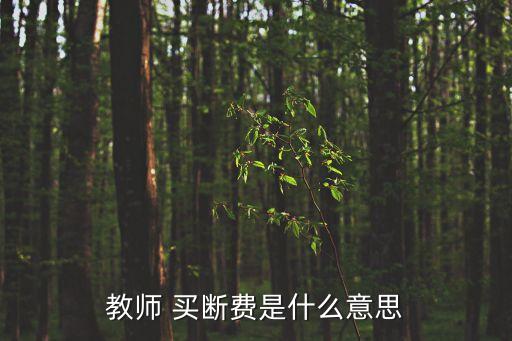 買斷價,買斷身份職業與房地產買賣合同一致