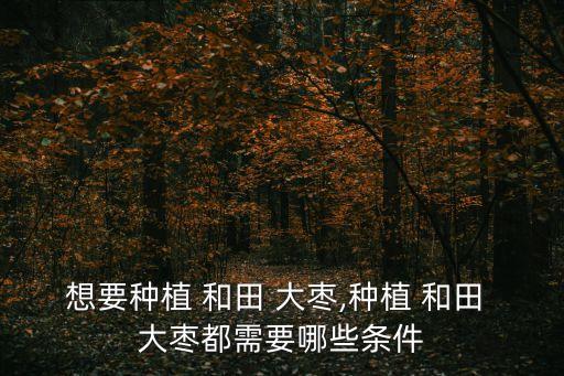 和田大棗,新疆出產(chǎn)和田棗專(zhuān)利商標(biāo)由中國(guó)商標(biāo)注冊(cè)