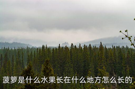 菠籮是什么水果長在什么地方怎么長的
