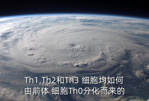 Th1,Th2和Th3 細胞均如何由前體 細胞Th0分化而來的