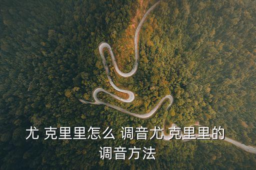尤克里里調音標準,克羅地亞泡泡音樂會如何演奏?