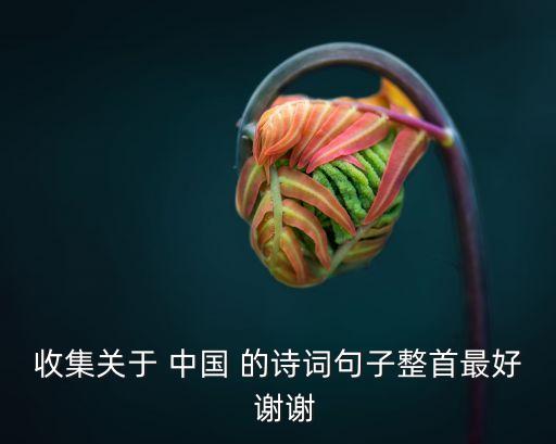 關于中國的詩句，關于中國詩詞