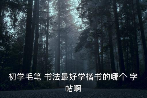 初學毛筆 書法最好學楷書的哪個 字帖啊