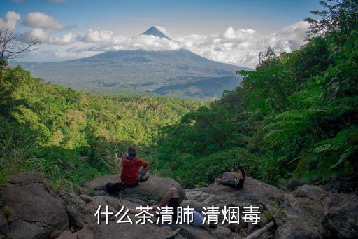清煙毒,長期吸煙危害大?可喝信陽毛尖茶清肺解煙毒