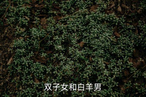 雙子女和白羊男