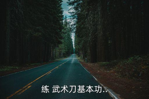 練 武術刀基本功..