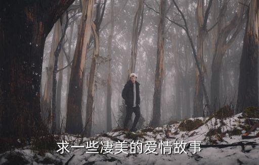 凄美的愛情故事，求一些凄美的愛情故事