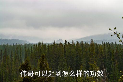 偉哥效果,國產偉哥金戈多少錢一盒?一盒吃完效果好