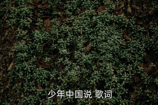 少年中國(guó)歌詞,少年自由則國(guó)強(qiáng)大