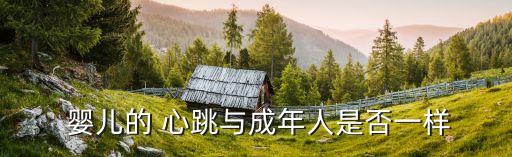  嬰兒的 心跳與成年人是否一樣