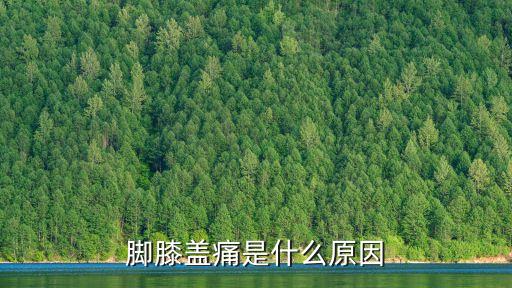 腳關節痛,膝關節半月板損傷可引起關節痛