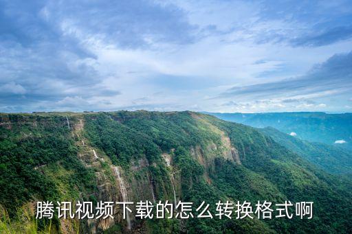 騰訊視頻下載的怎么轉換格式啊