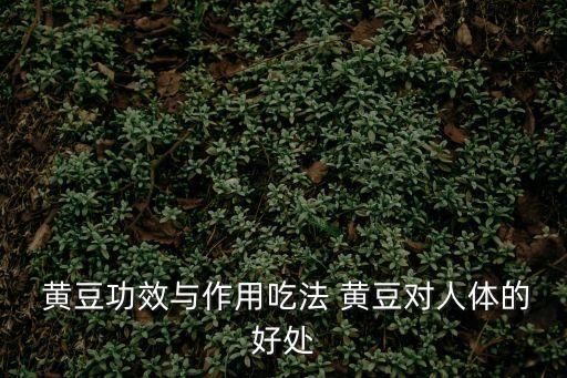  黃豆功效與作用吃法 黃豆對人體的好處