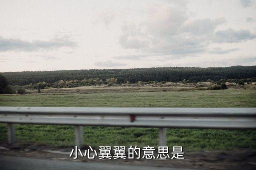 小心翼翼的意思，小心翼翼的意思