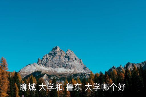 魯東大學全國排名,本地新增13起病例沒有本土病例