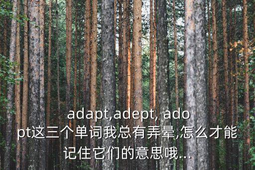 adopt和adapt的區別,適應不同領域的說話方式不同